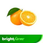 brightfarms Orange Malta 1 Piece 170g -190g