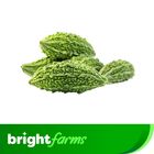 brightfarms Small Bitter Gourd (Usta) 500g (±5%)