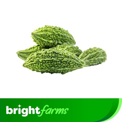 brightfarms Small Bitter Gourd (Usta) 500g (±5%)