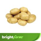 brightfarms Diamond Potato (Alu) 500g ± 20