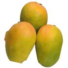 Amrupali Premium Sweet Mango 3kg