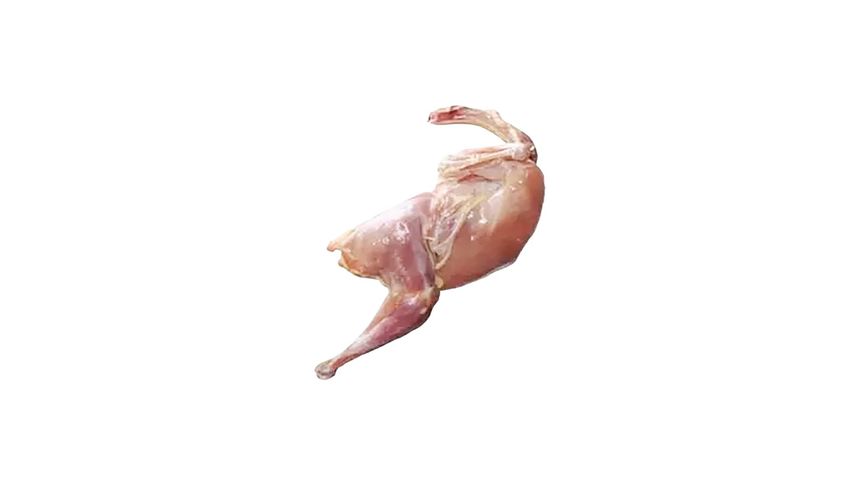 Taqwa Roast Chicken 275g - 300g