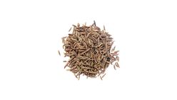 Imperial Cumin (Shahi Jira) Loose 50g