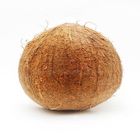 Cococnut Big Size 1 Piece