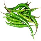 Vegetable Green Chili (Morich) | 1 Kg - 65030