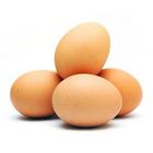 Sylvan Poultry Branded Egg 12 Pieces