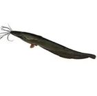 Shing Fish Processed 1Kg