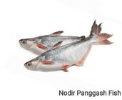 Big Pangash 1.5Kg