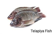 Tilapiya Fish 1kg