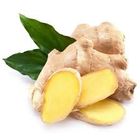 Ginger-Ada (Imported) | 1 kg