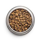 Cat Food Adult Mixed Food Pack 500g