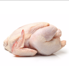 Whole Broiler Chicken Skin On 1.5Kg
