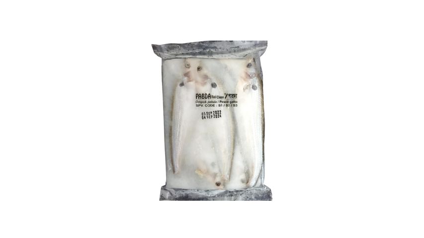 Hawor Pabda Fish Block Processed & Clean 500g