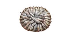 Gulsha Fish Medium 500g