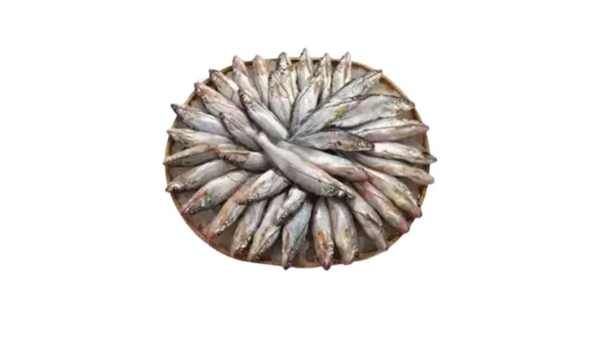 Gulsha Fish Medium 500g