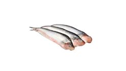 Pabda Fish 500g