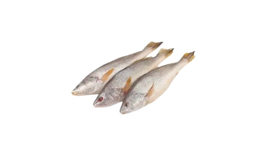 Poa Fish 500g