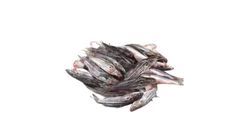 Tengra Fish Deshi 400g