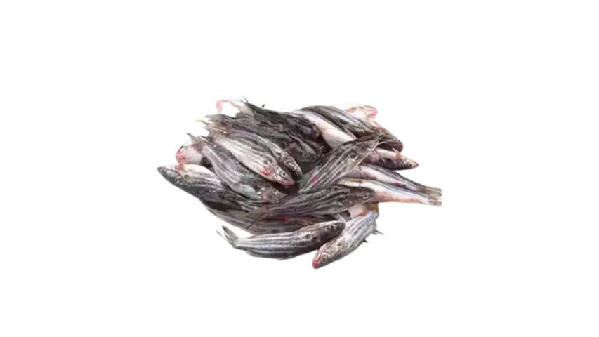 Tengra Fish Deshi 400g
