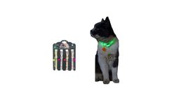 Pet Collars Radium (Assorted) 1 Piece