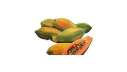 Jhum Pahari Papaya Red Lady 1kg ±50g
