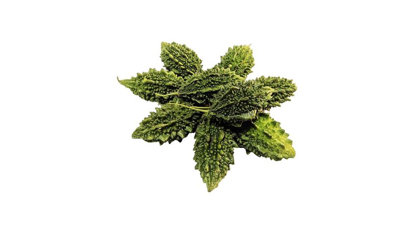 Bitter Gourd Small Usta (Kolatia) 500g ± 20g