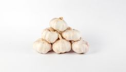 brightfarms Multicell Garlic (Roshun) 500g