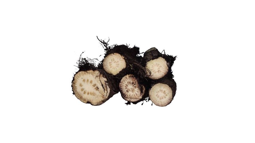 brightfarms Chui Jhal 100g ±5g