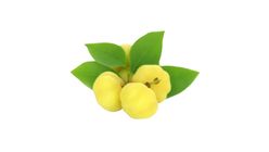 Orboroi Fruit 500g (±20g)