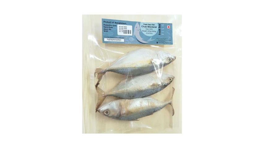 Fresh Sea Fish Chub Mackerel 500g