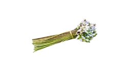 Water Lilies (Shapla) 400g