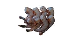 Chaka Shrimp Headless (Medium) 250g
