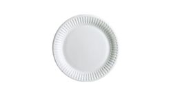 Disposable Paper Full Plate Large Assorted 12 Pieces
