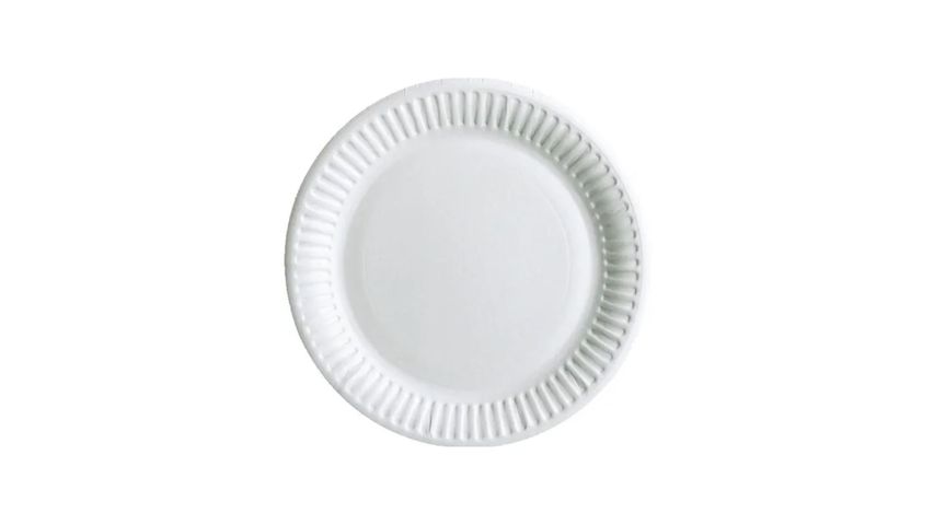 Disposable Paper Full Plate Large Assorted 12 Pieces