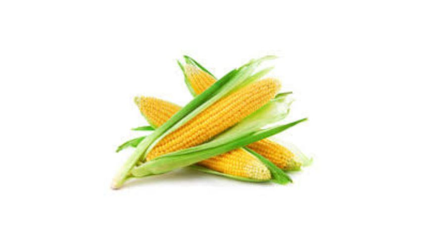 Fresh Sweet Corn Whole Imported 300g
