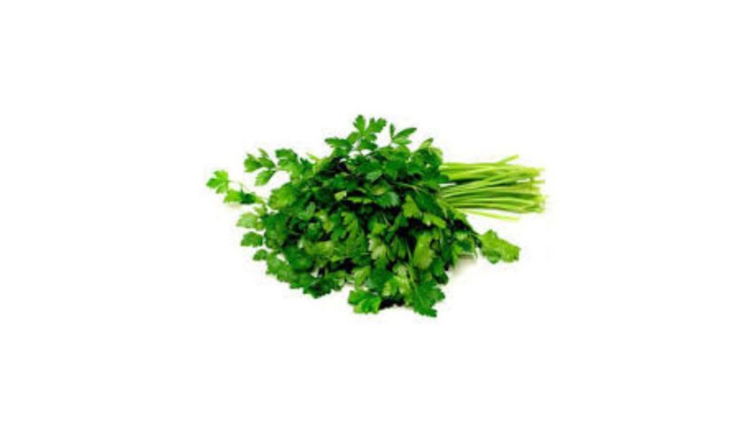 Parsley Imported 100g