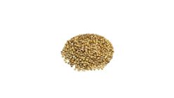 Coriander Dhonia Loose 100g