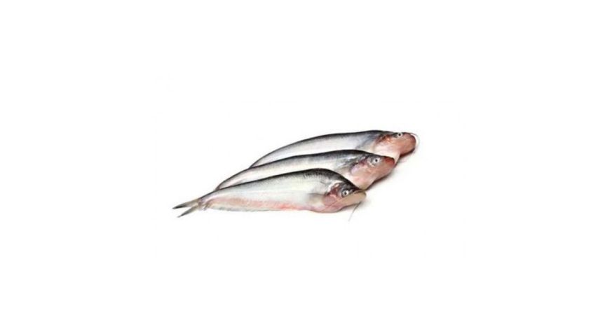 Hawor Pabda Fish Block Processed & Clean 250g