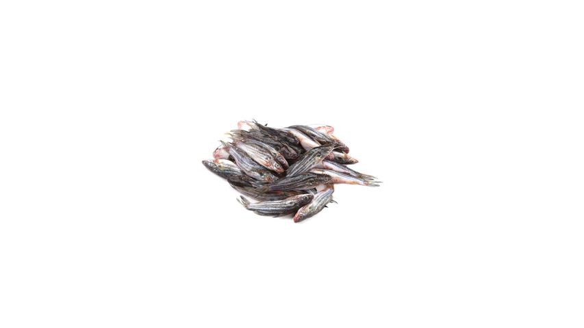 Hawor Tengra Fish Block Processed & Clean 250g