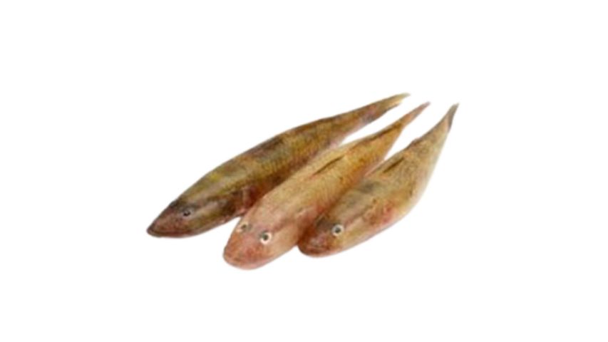 Hawor Baila Fish Block Processed & Clean 250g