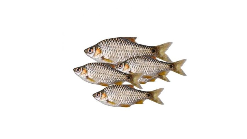 Hawor Puti Fish Block Processed & Clean 250g