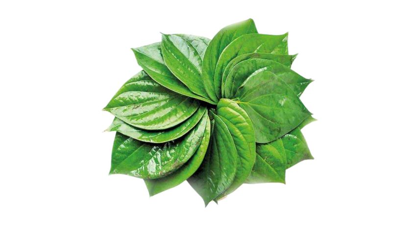 Moheshkhali Mishti Paan (Betel Leaf) 8pcs