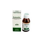 Pulmolin Syrup 100ml