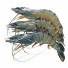 Bagda Prawn 1kg