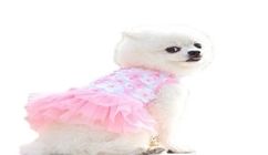 Party Dress With Flower For Cat & Puppy 1 Piece