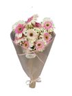 Sed Pink Gerbera Code 04 1 Bouquet
