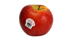 Lucky Apple Envy US 0.9kg