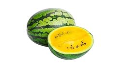 Lucky Watermelon Yellow 1pc