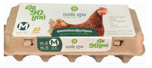 Soma Chicken Egg 1X10'S #M