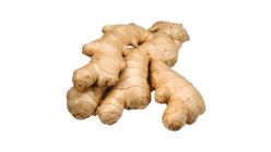 Old Ginger (22013100001)
